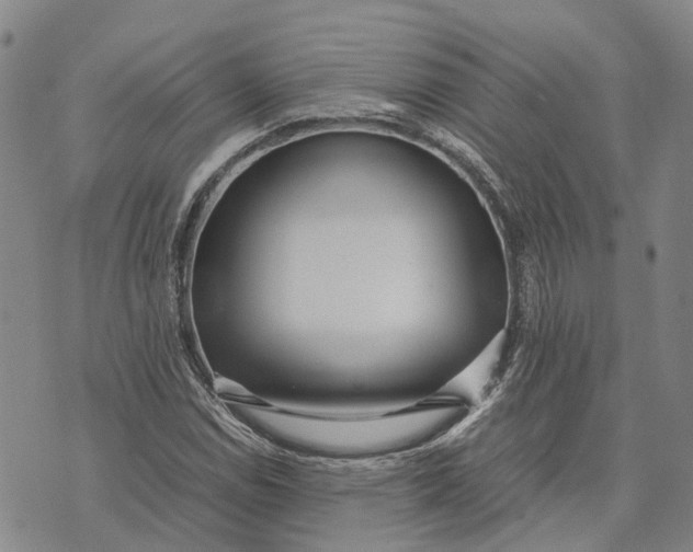 X0000072521114200608041525