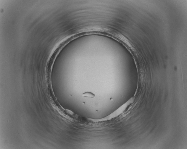 X0000072521116200608041525