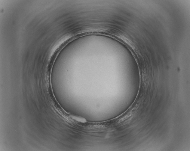 X0000072521119200608041525