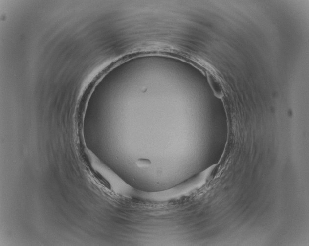 X0000072521120200608041525