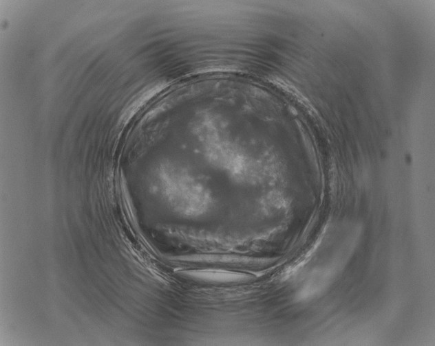 X0000072521121200608041525