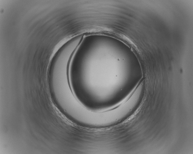 X0000072521122200608041525