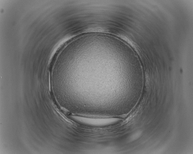 X0000072521123200608041525