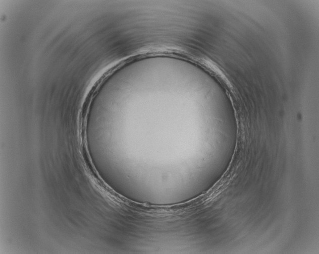 X0000072521124200608041525