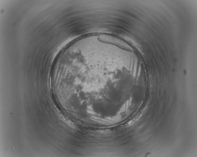 X0000072521125200608041525