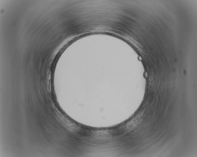 X0000072521126200608041525