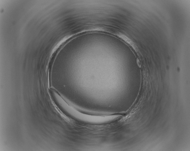 X0000072521127200608041525