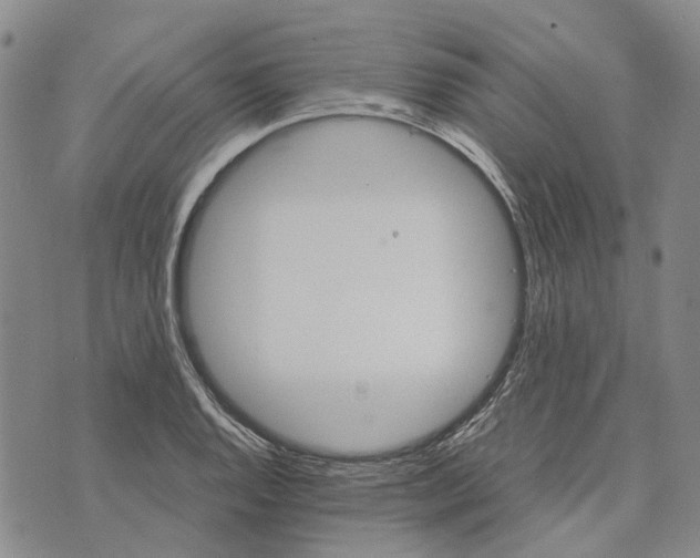 X0000072521128200608041525