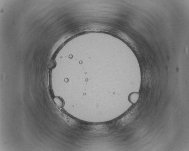 X0000072521130200608041525