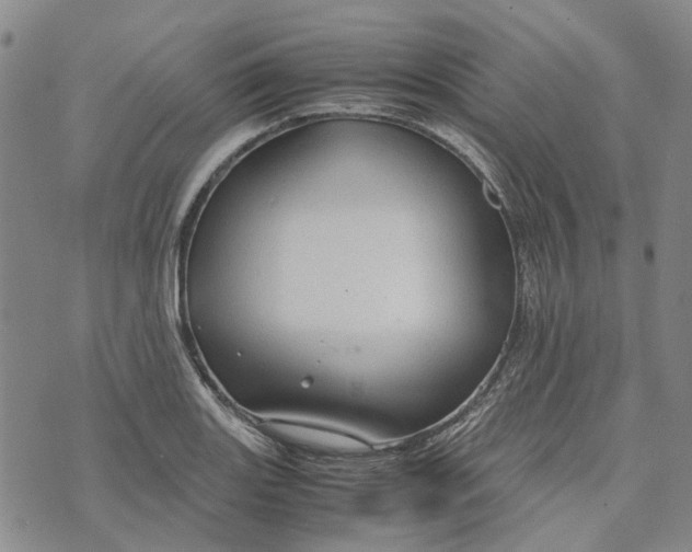 X0000072521131200608041525