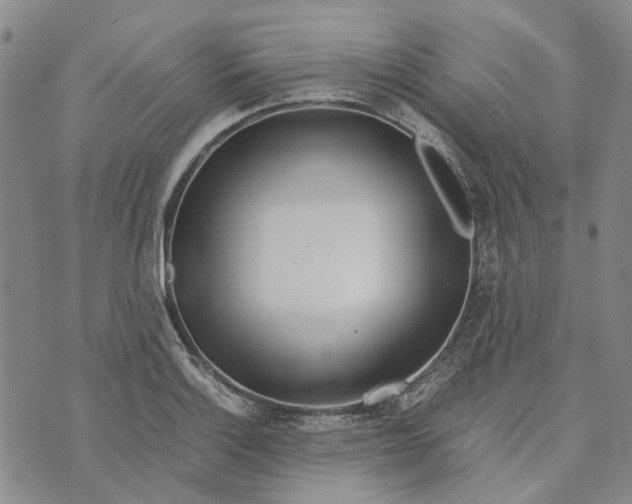 X0000072521132200608041525