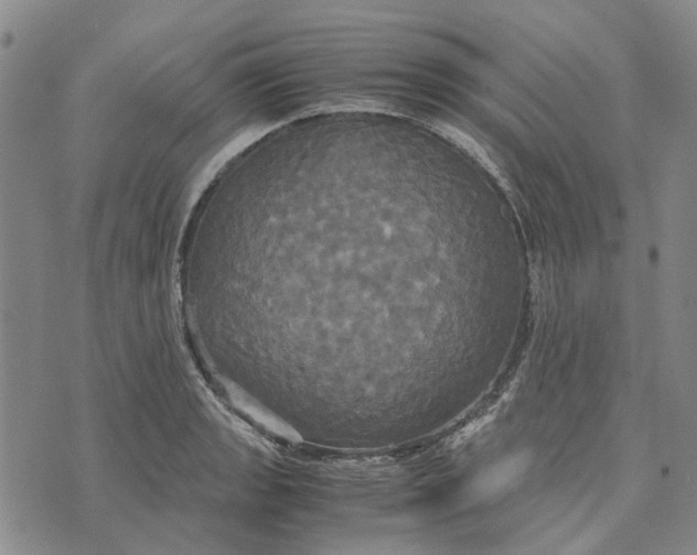 X0000072521133200608041525