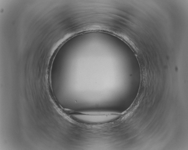 X0000072521134200608041525