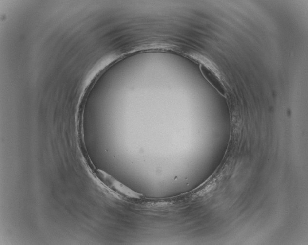 X0000072521135200608041525