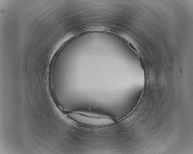 X0000072521139200608041525