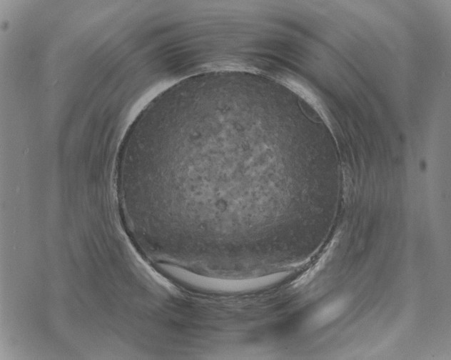 X0000072521141200608041525