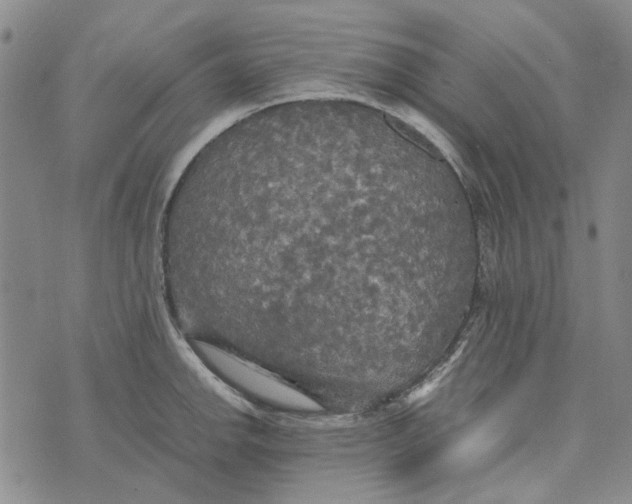 X0000072521142200608041525