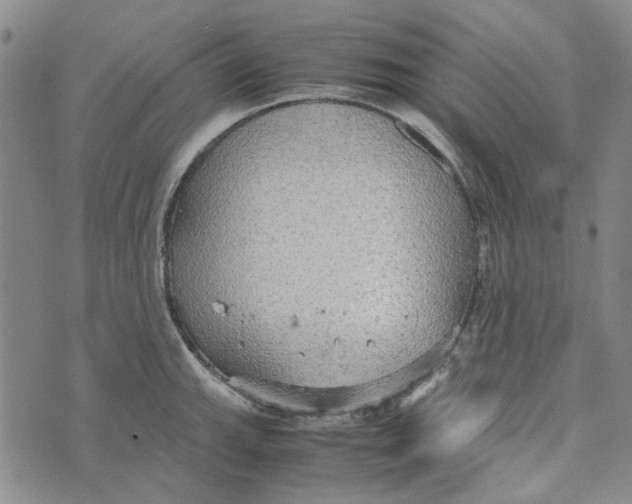 X0000072521143200608041525