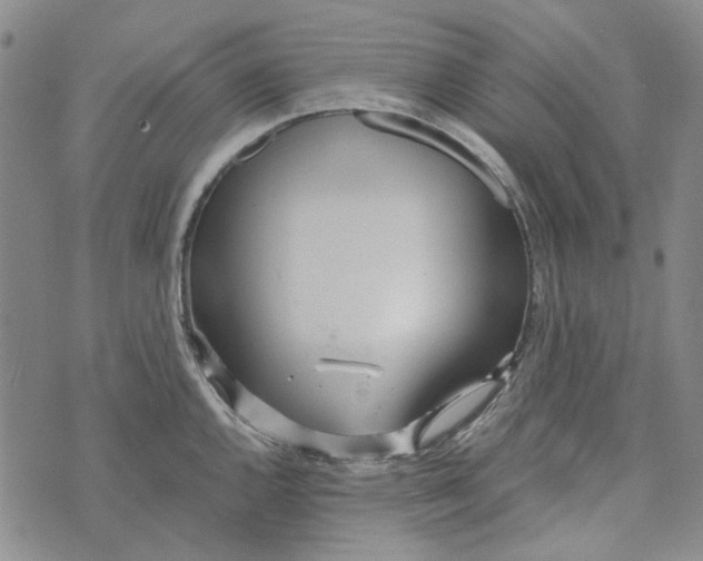 X0000072521144200608041525