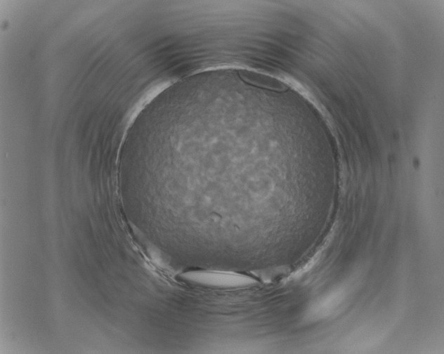 X0000072521145200608041525