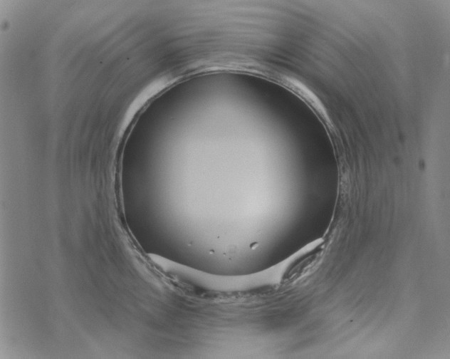 X0000072521146200608041525