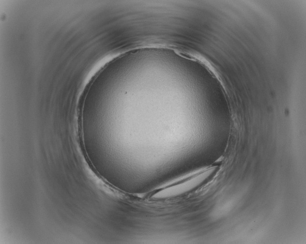 X0000072521147200608041525