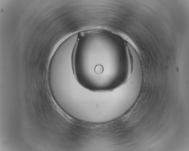 X0000072521148200608041525