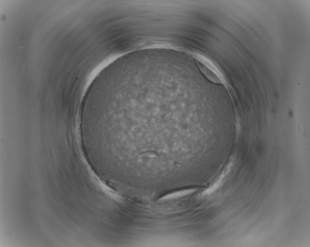 X0000072521149200608041525