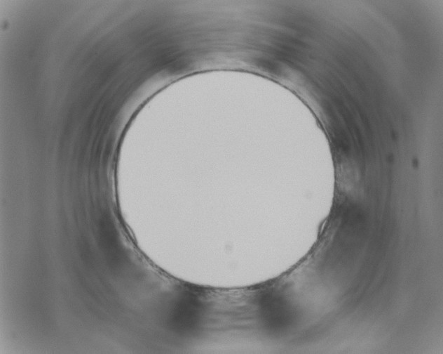 X0000072521150200608041525