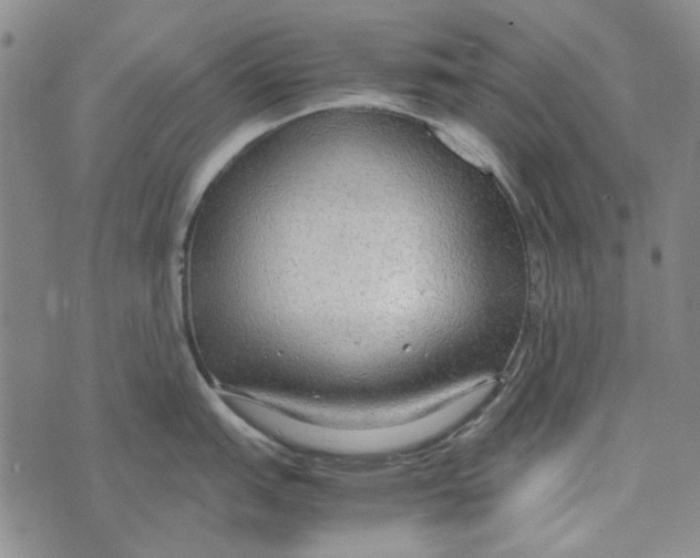 X0000072521151200608041525