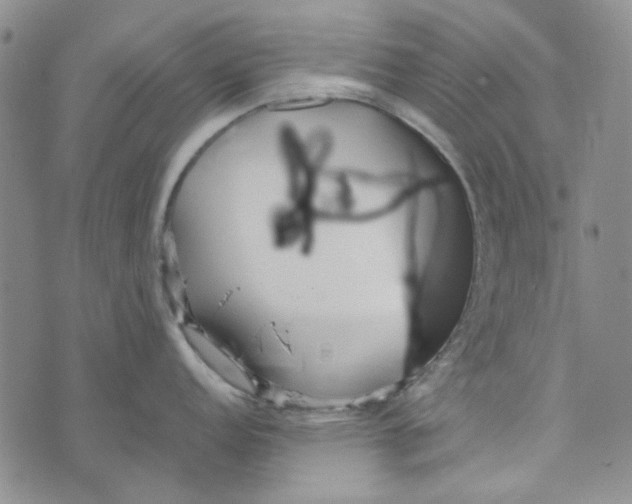 X0000072521152200608041525