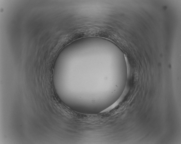 X0000072521153200608041525