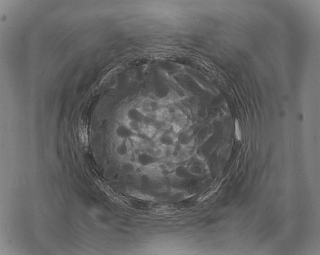 X0000072521155200608041525