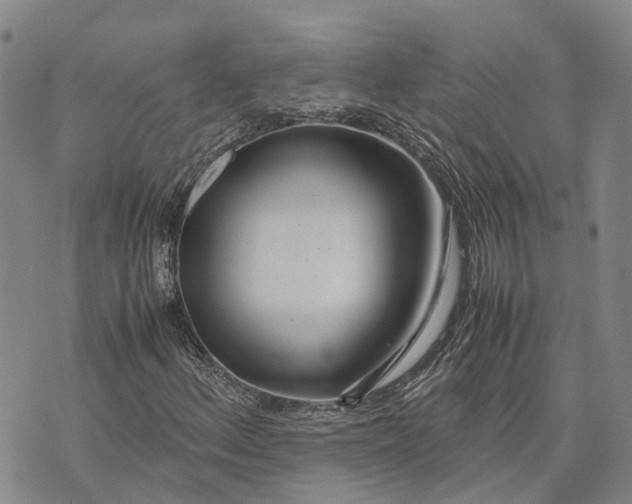 X0000072521156200608041525