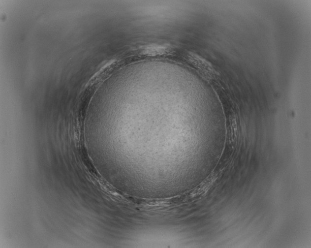 X0000072521158200608041524