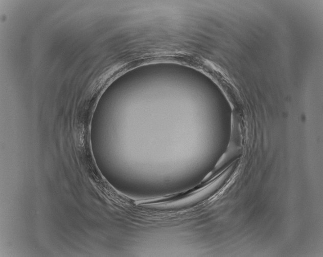 X0000072521161200608041524