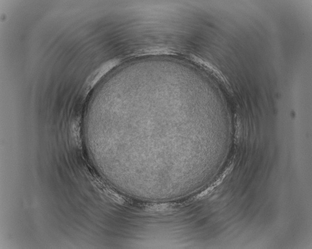 X0000072521162200608041524