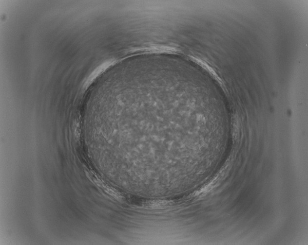 X0000072521163200608041524