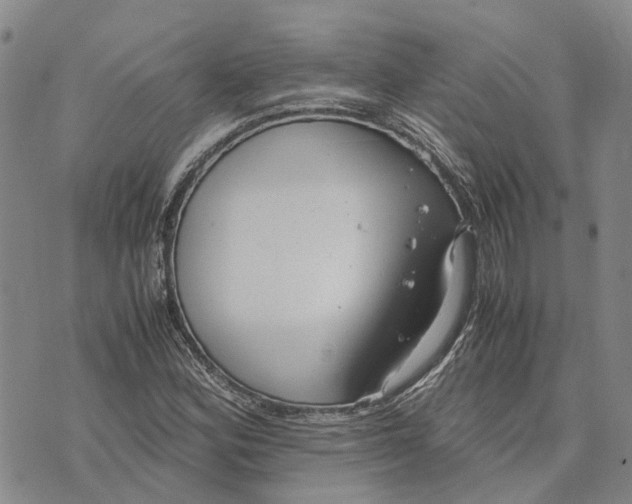 X0000072521164200608041524