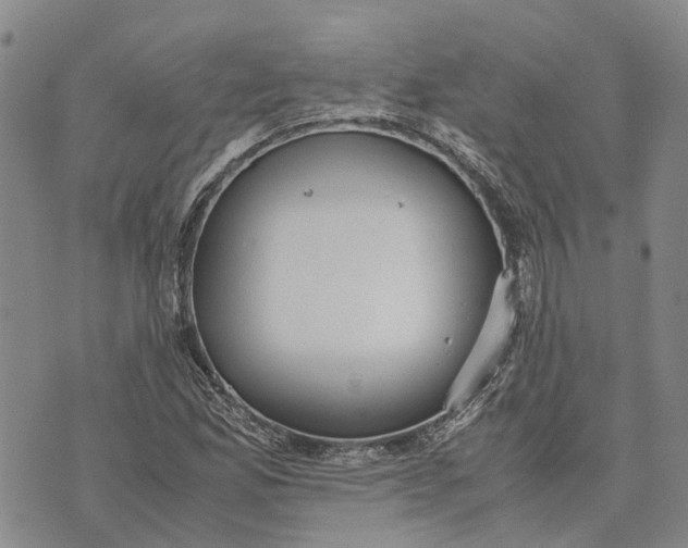 X0000072521165200608041524