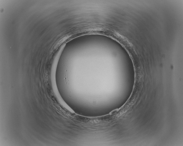 X0000072521169200608041524