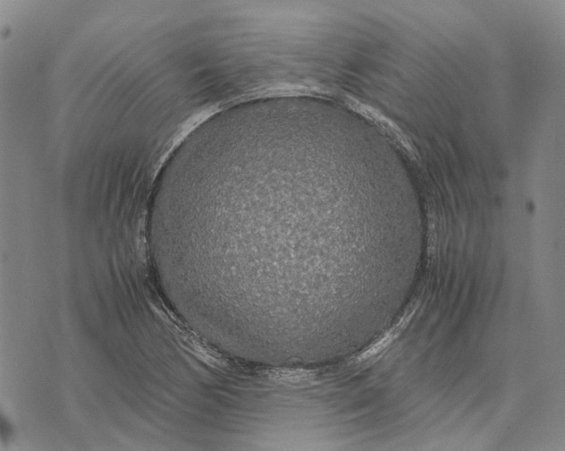 X0000072521170200608041524