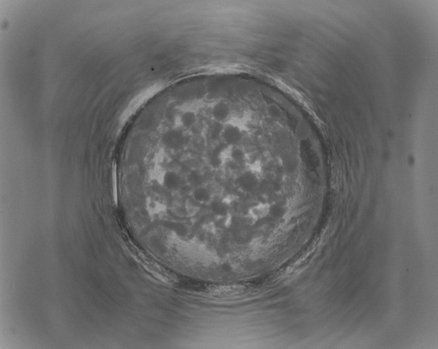 X0000072521171200608041524