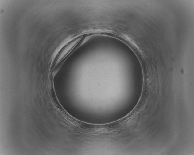 X0000072521173200608041524