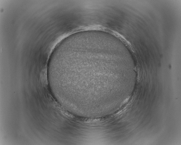 X0000072521174200608041524