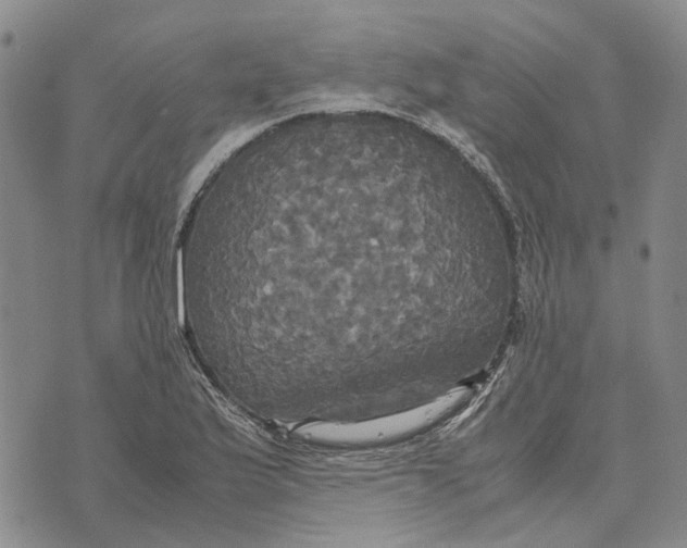 X0000072521175200608041524