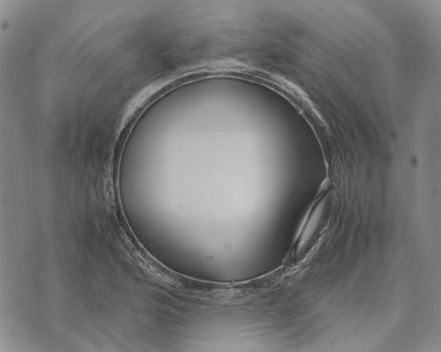 X0000072521176200608041524