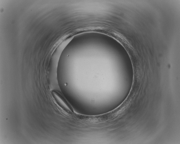 X0000072521177200608041524