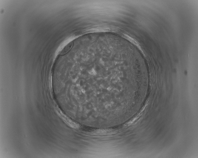 X0000072521179200608041524