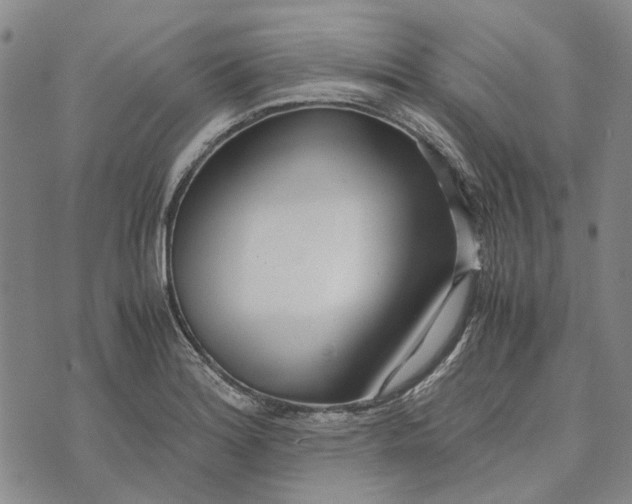 X0000072521180200608041524